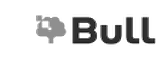 Bull